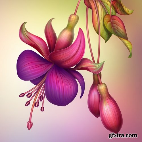 Collection of hand-drawn flowers tulip background is the gift card 25 HQ Jpeg