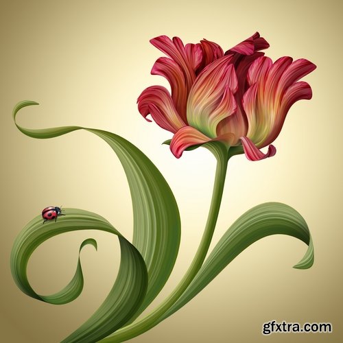 Collection of hand-drawn flowers tulip background is the gift card 25 HQ Jpeg