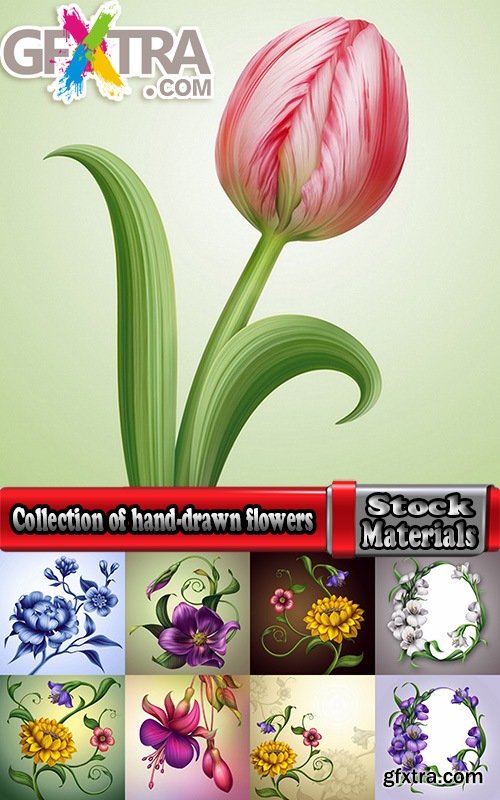 Collection of hand-drawn flowers tulip background is the gift card 25 HQ Jpeg