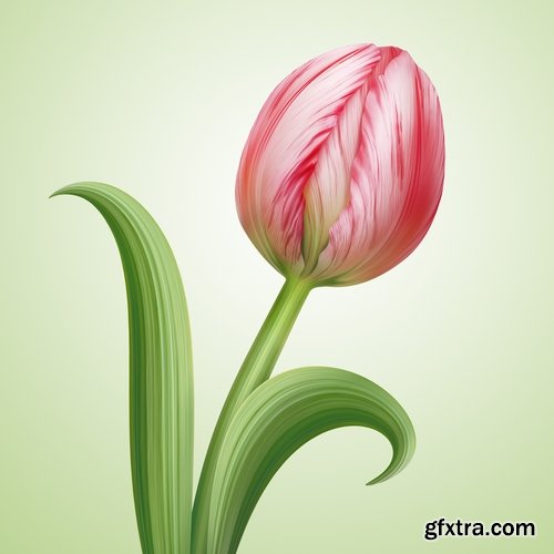 Collection of hand-drawn flowers tulip background is the gift card 25 HQ Jpeg