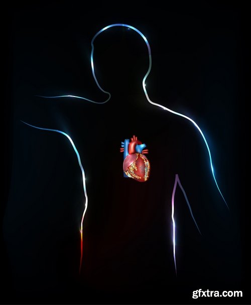 Collection of vector image medicine the human body heart 25 EPS