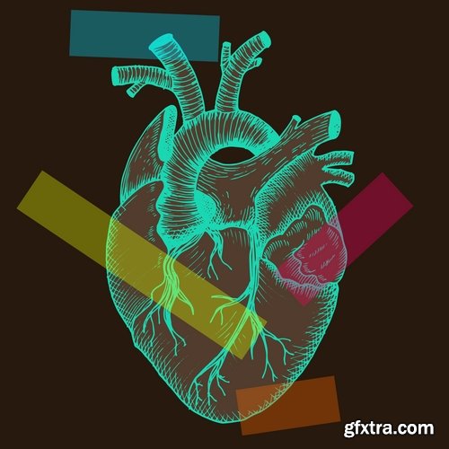 Collection of vector image medicine the human body heart 25 EPS