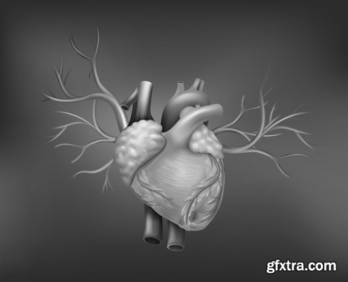 Collection of vector image medicine the human body heart 25 EPS