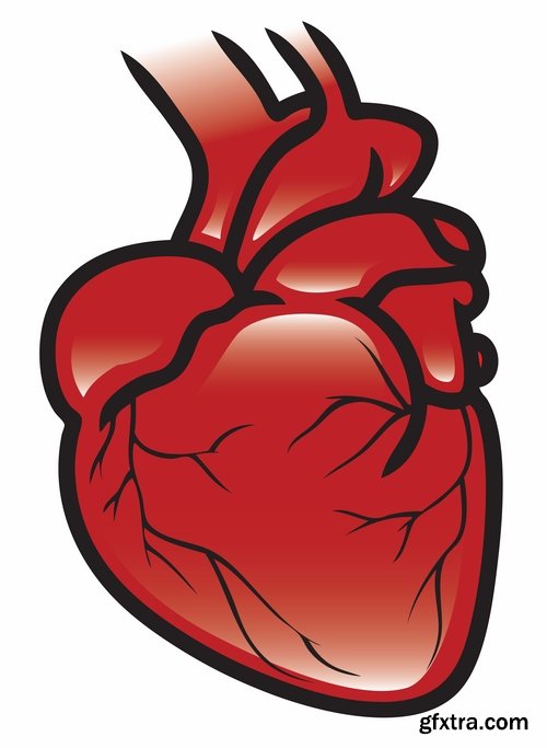 Collection of vector image medicine the human body heart 25 EPS