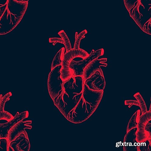 Collection of vector image medicine the human body heart 25 EPS