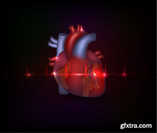 Collection of vector image medicine the human body heart 25 EPS