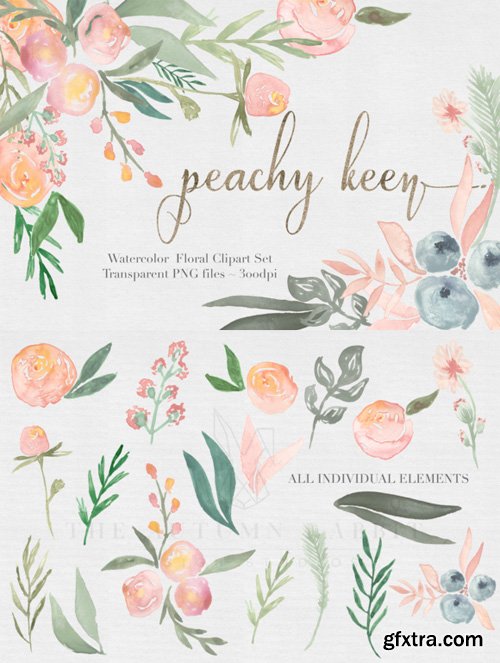 Peachy Keen Watercolor clipart Set - CM 476836