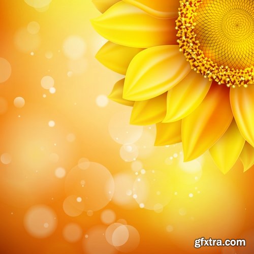 Collection of vector image sunflower flower plant nature 25 EPS