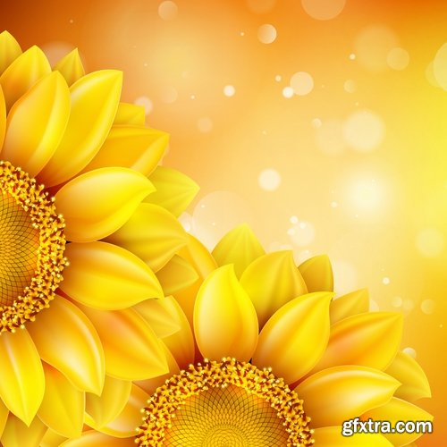 Collection of vector image sunflower flower plant nature 25 EPS