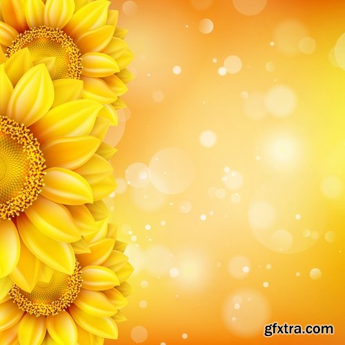 Collection of vector image sunflower flower plant nature 25 EPS