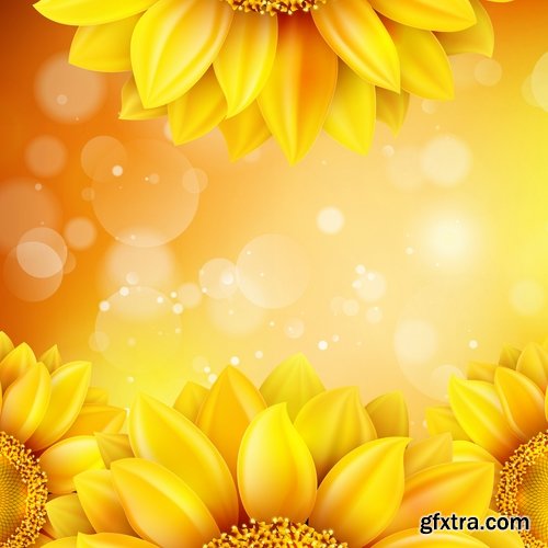 Collection of vector image sunflower flower plant nature 25 EPS