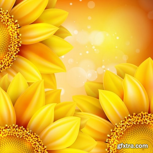 Collection of vector image sunflower flower plant nature 25 EPS