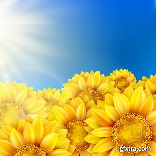 Collection of vector image sunflower flower plant nature 25 EPS