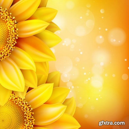 Collection of vector image sunflower flower plant nature 25 EPS