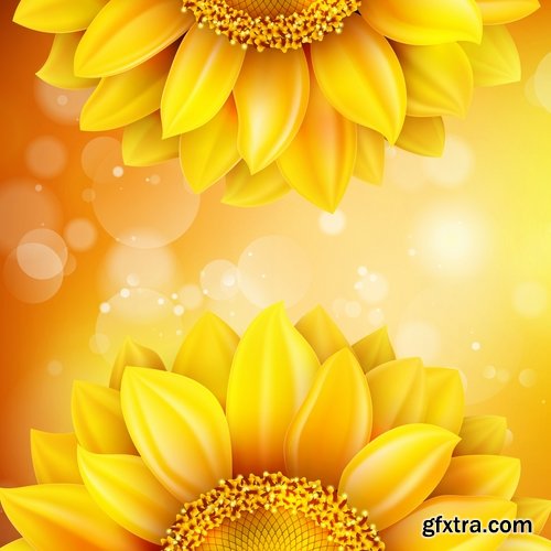 Collection of vector image sunflower flower plant nature 25 EPS