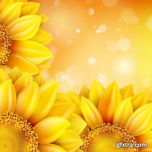 Collection of vector image sunflower flower plant nature 25 EPS