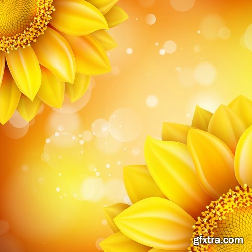 Collection of vector image sunflower flower plant nature 25 EPS