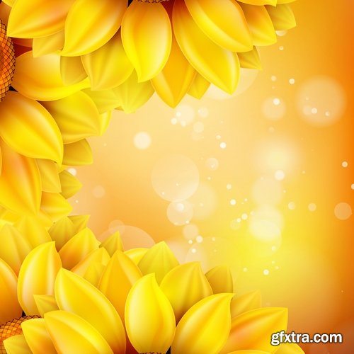 Collection of vector image sunflower flower plant nature 25 EPS