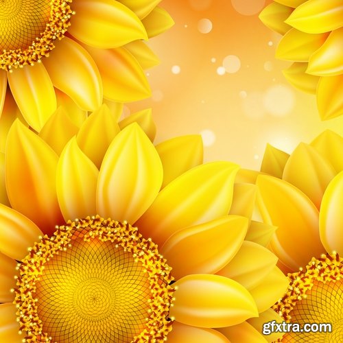 Collection of vector image sunflower flower plant nature 25 EPS