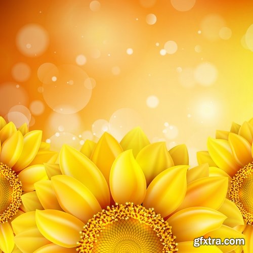 Collection of vector image sunflower flower plant nature 25 EPS