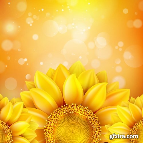 Collection of vector image sunflower flower plant nature 25 EPS