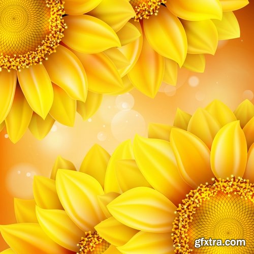 Collection of vector image sunflower flower plant nature 25 EPS