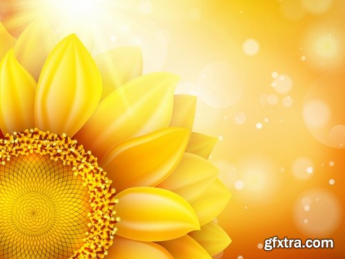 Collection of vector image sunflower flower plant nature 25 EPS