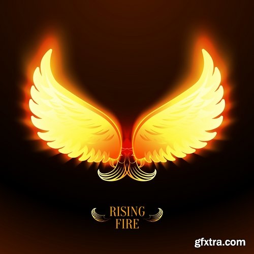 Collection of vector image of phoenix bird fire revival flight 25 EPS