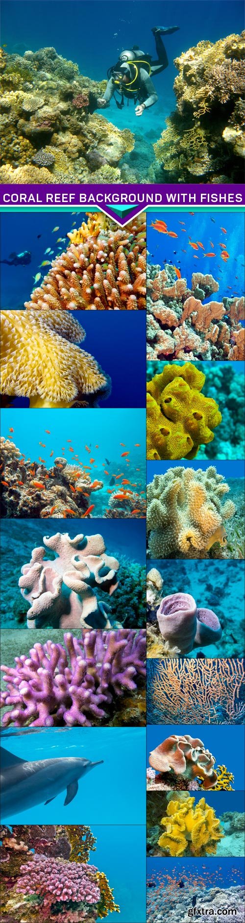 Coral reef background with fishes and diving 16x JPEG