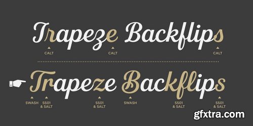 Fourth Font Family - 8 Fonts $280