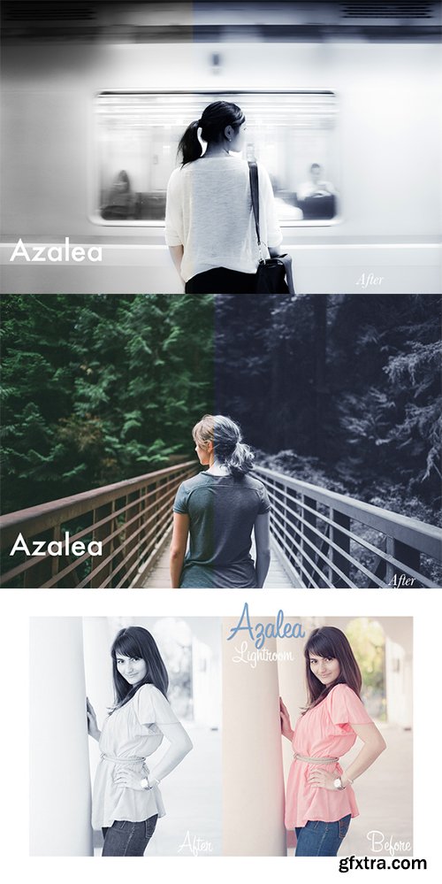 Creativemarket Azalea - Lightroom Preset 4011