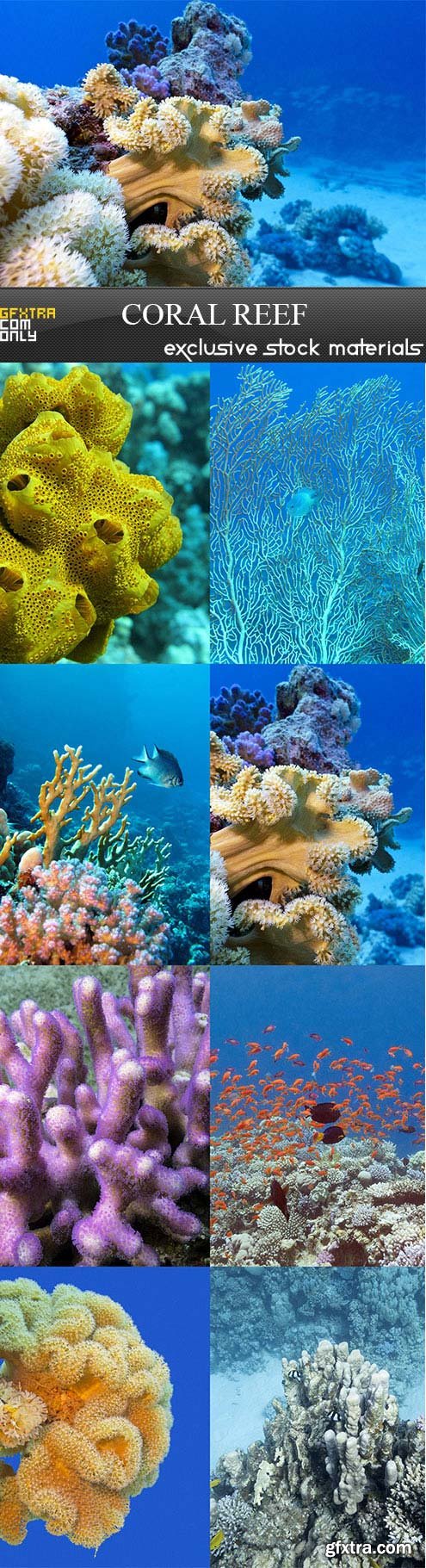 Coral reef, 8 x UHQ JPEG