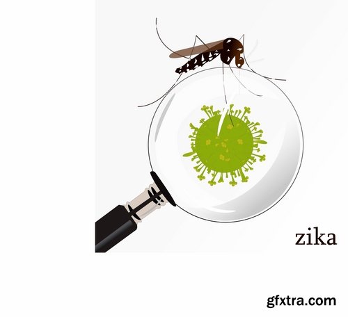 Collection of vector image Zika virus infection insect mosquito vector 25 EPS