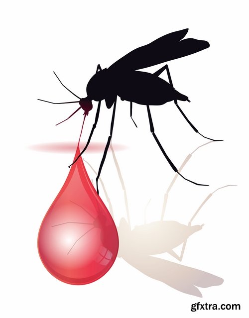 Collection of vector image Zika virus infection insect mosquito vector 25 EPS