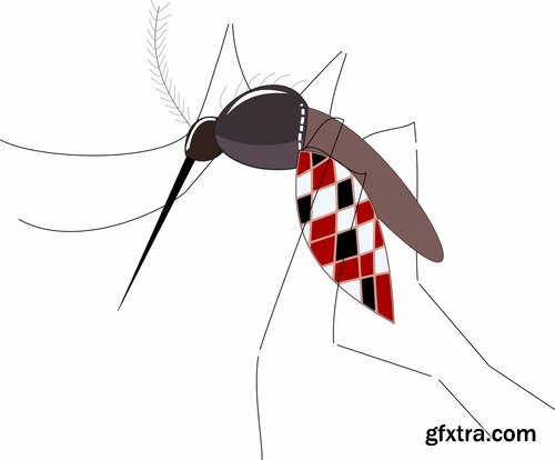 Collection of vector image Zika virus infection insect mosquito vector 25 EPS