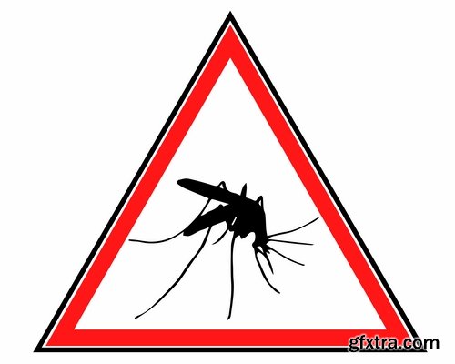 Collection of vector image Zika virus infection insect mosquito vector 25 EPS