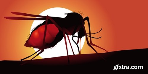 Collection of vector image Zika virus infection insect mosquito vector 25 EPS