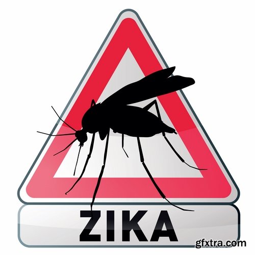 Collection of vector image Zika virus infection insect mosquito vector 25 EPS