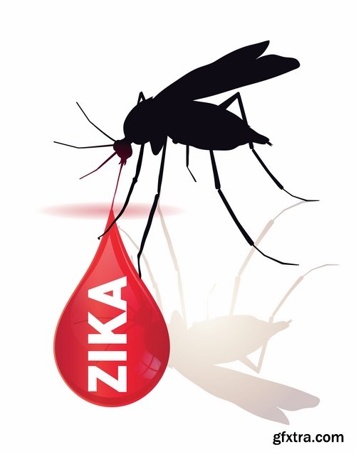 Collection of vector image Zika virus infection insect mosquito vector 25 EPS