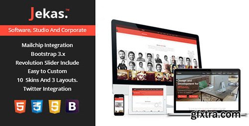 ThemeForest - Jekas v1.0 - Software & Business WordPress Theme - 12811629