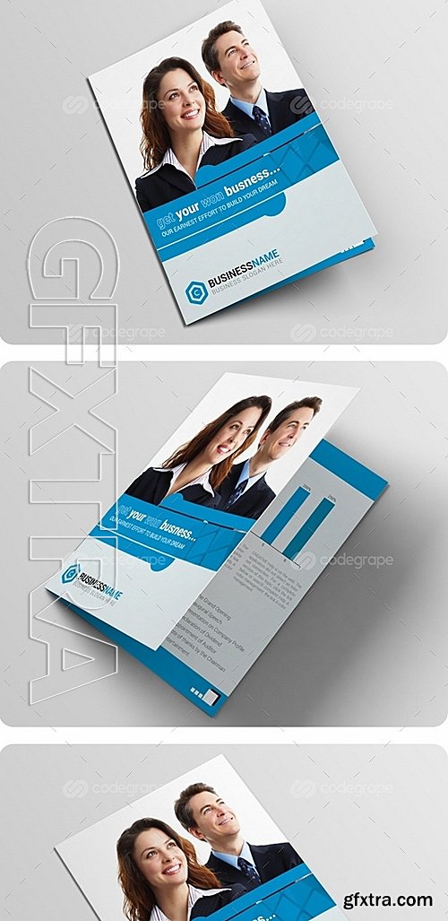 Bi-fold Brochure 6212