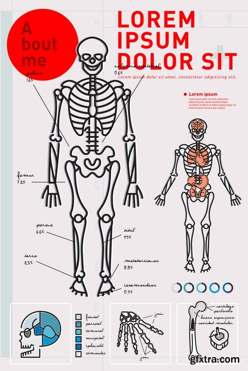 Medical Infographics 12X EPS