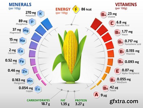 Vegetables infographics