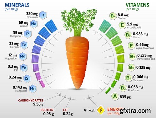 Vegetables infographics