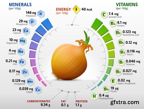 Vegetables infographics