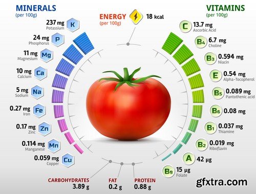 Vegetables infographics