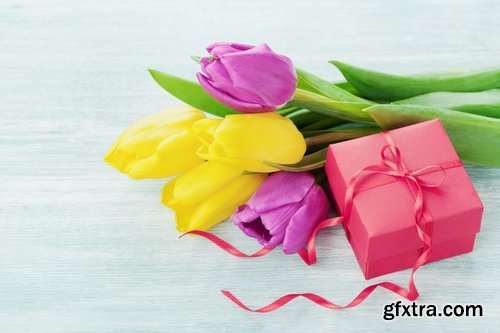 Collection spring flower tulip decoration gift 25 HQ Jpeg