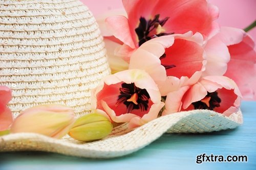 Collection spring flower tulip decoration gift 25 HQ Jpeg