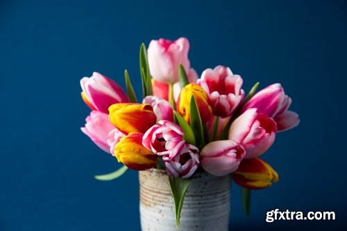 Collection spring flower tulip decoration gift 25 HQ Jpeg