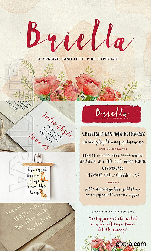 CM - Briella Font 540798